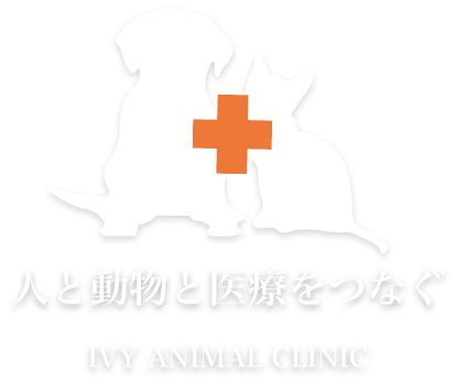 人と動物と医療をつなぐ - ivy animal clinic